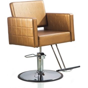 Hydraulic Beauty Stylish Salon Chair